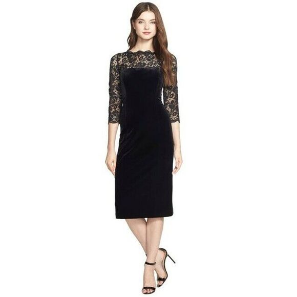 eliza j lace and velvet sheath dress
